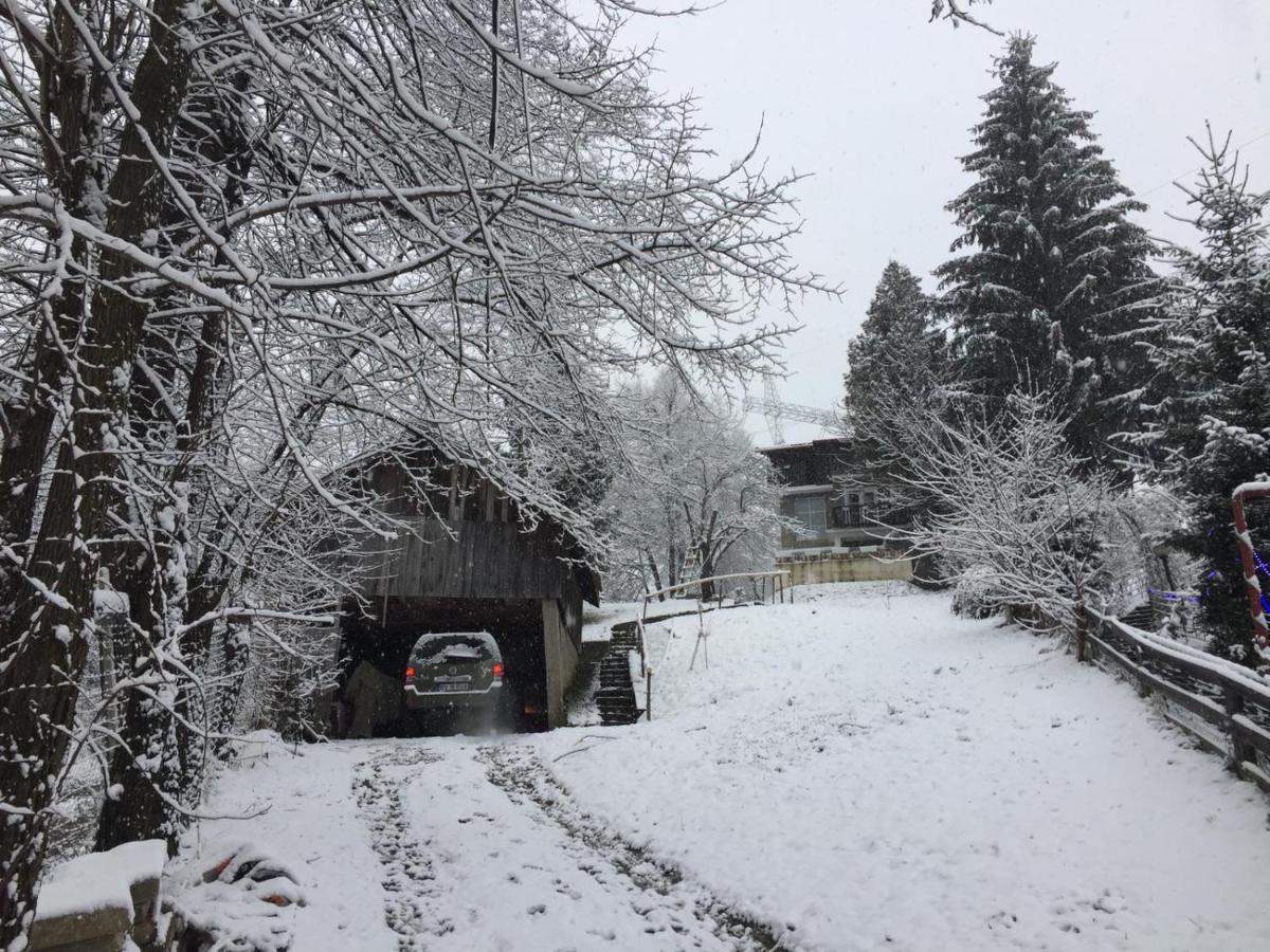 Bran And Breakfast Country house Bran (Brasov)