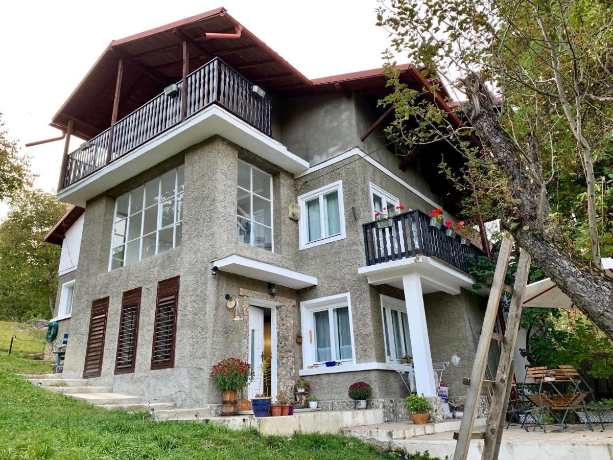 Bran And Breakfast Country house Bran (Brasov)