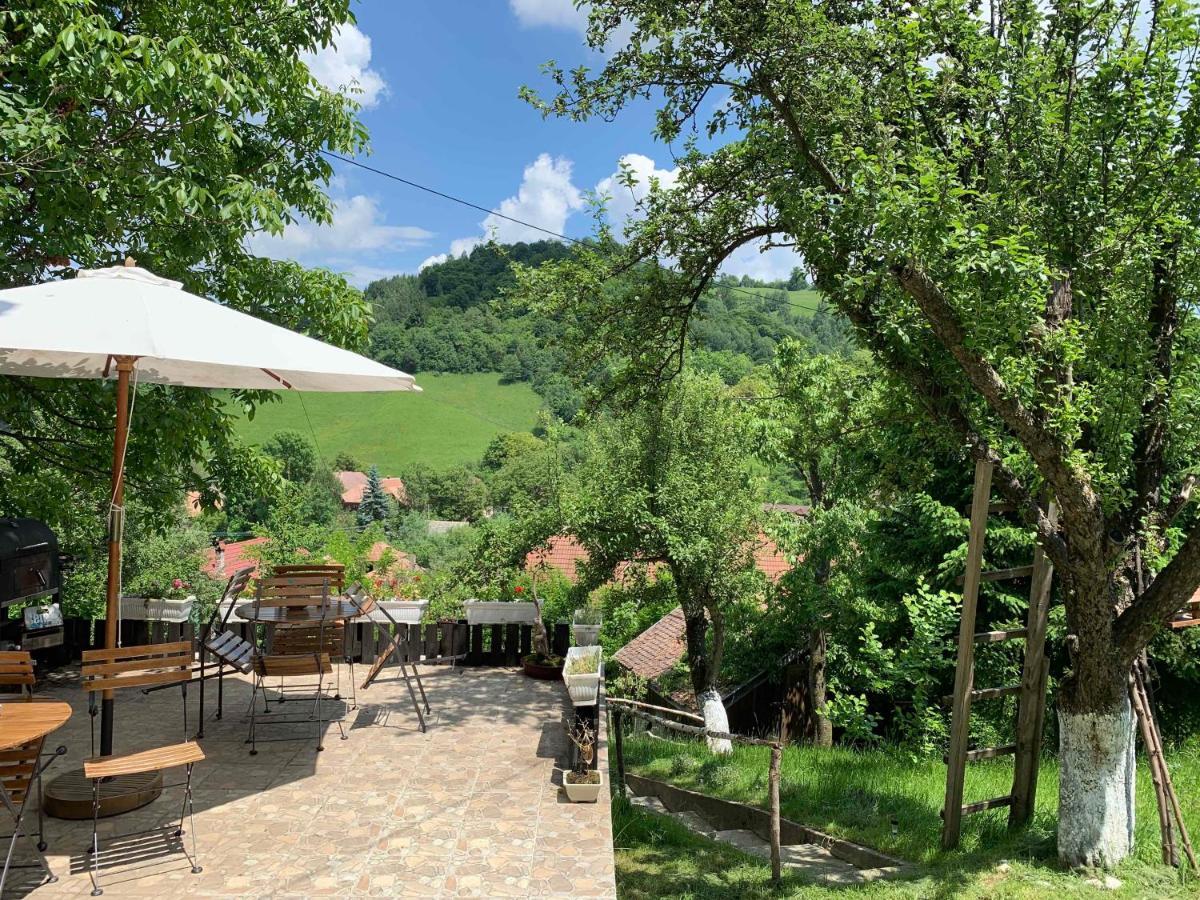Country house Bran And Breakfast *