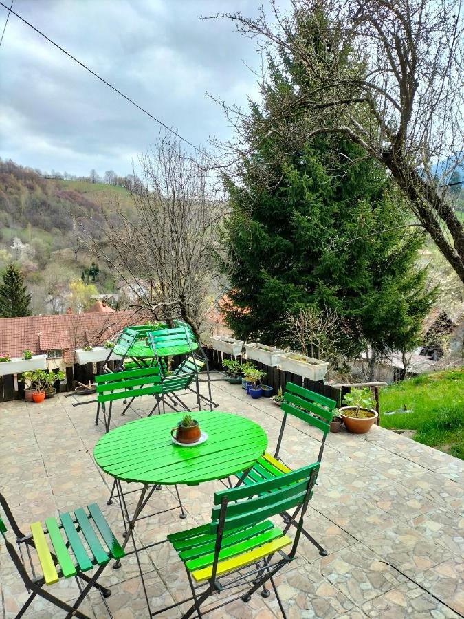 Country house Bran And Breakfast Bran (Brasov)