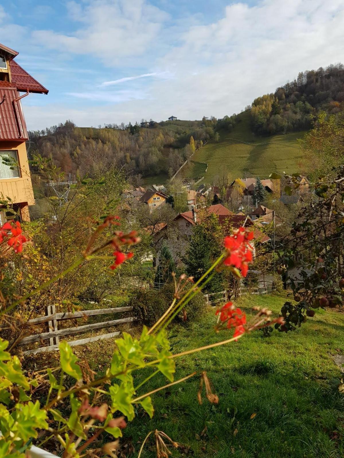 Bran And Breakfast * Bran (Brasov)